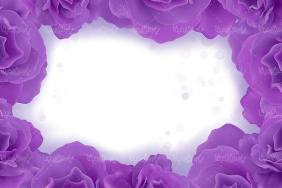 وکتور حاشیه شکوفه گل