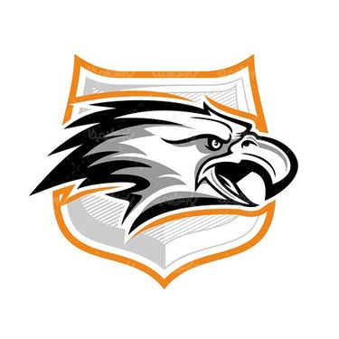 Vector Eagle Logo