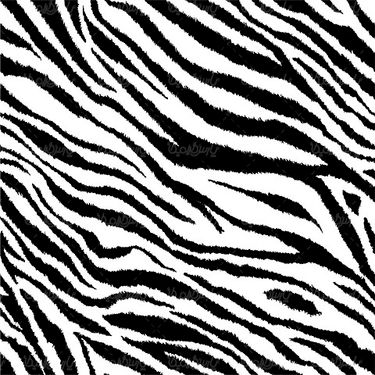 Vector Zebra Background