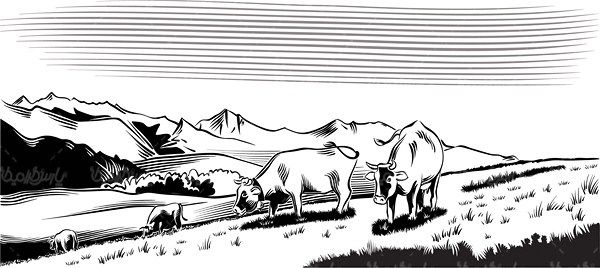 Farm Vector
