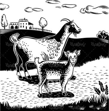 وکتور بز