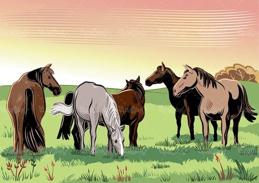 Horse vector
