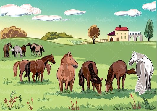 Horse vector