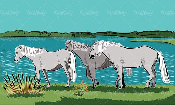 Horse vector