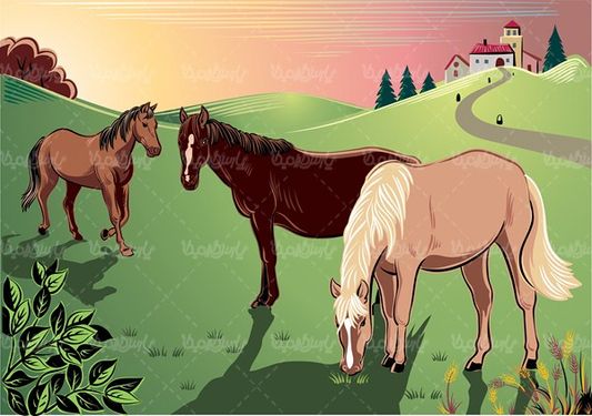 Horse vector