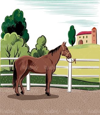 Horse vector