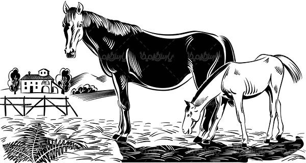 وکتور پرورش اسب