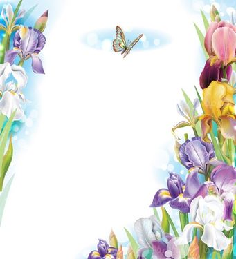 Orchid Flower Vector
