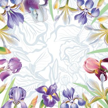 Orchid Flower Vector