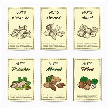 Vector Nuts