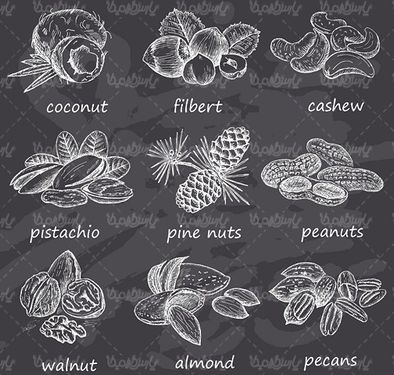 Vector Nuts