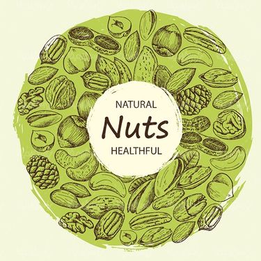 Vector Nuts