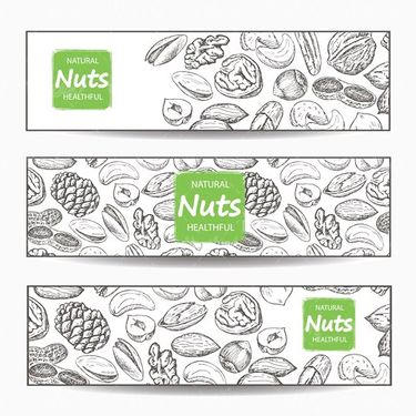 Vector Nuts