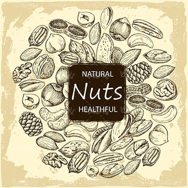 Vector Nuts
