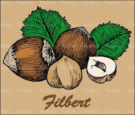 وکتور بادام درختی