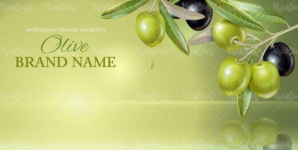 وکتور حاشیه زیتون