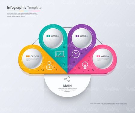 Vector Infographic