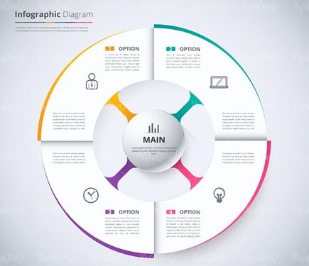 Vector Infographic