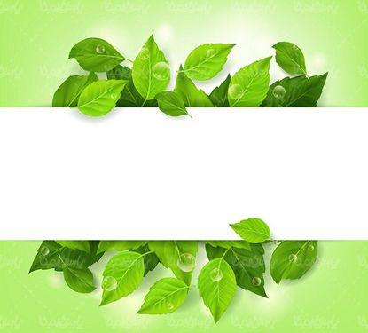 وکتور  حاشیه برگ ریحان