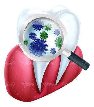 وکتور دندان پزشکی