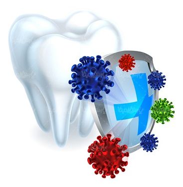 Dental vector