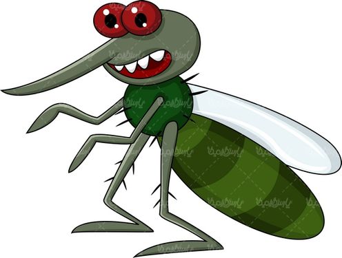 Mosquito vector