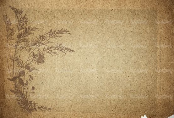 Old sheathed vector paper