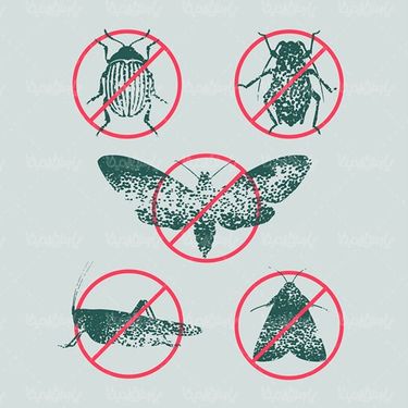 Pesticide Vector