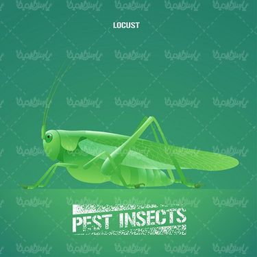 Pesticide Vector