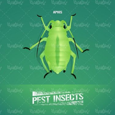 Pesticide Vector