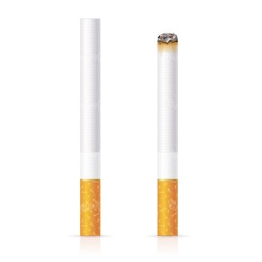 Vector cigar