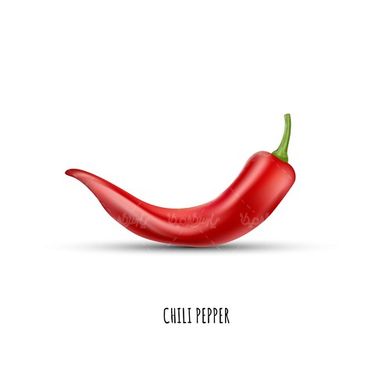 Spicy red pepper vector