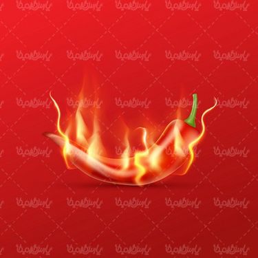 Spicy red pepper vector