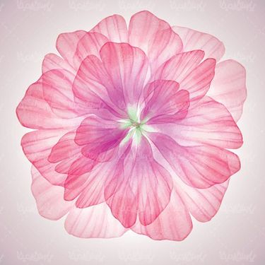Petal Pattern Vector