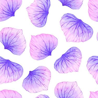 Petal Pattern Vector