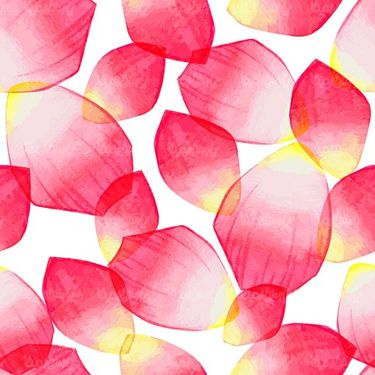 Petal Pattern Vector