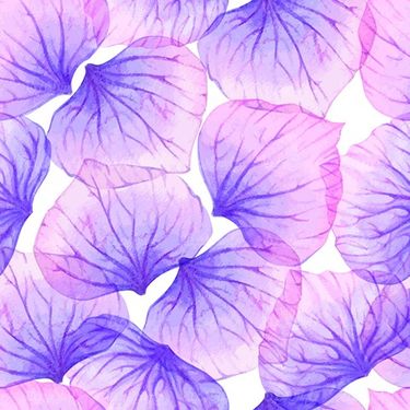 Petal Pattern Vector