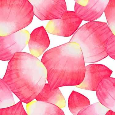 Petal Pattern Vector