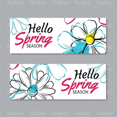 Vector Spring Sale