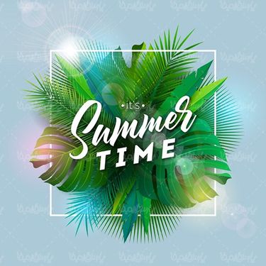 Vector summer