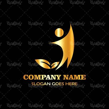 Vector Golden Logo