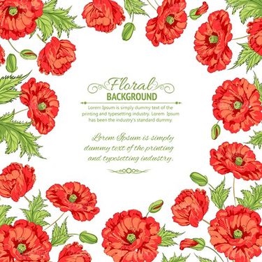 Vector floral border