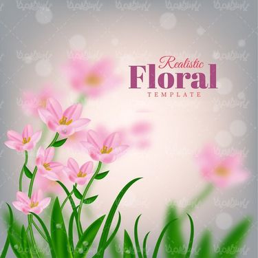 Vector spring bloom