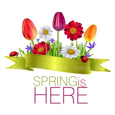 Vector spring bloom