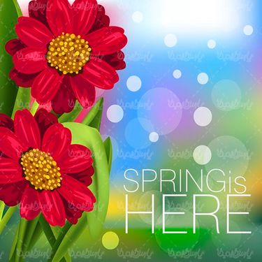 Vector spring bloom