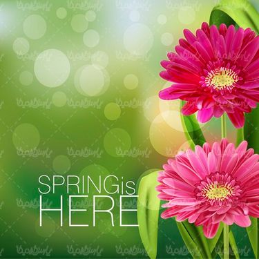 Vector spring bloom