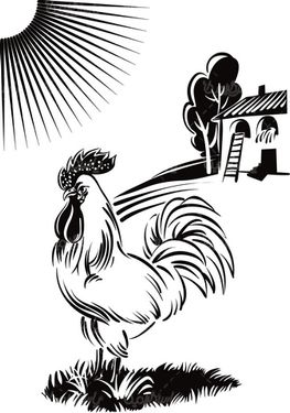 Chicken and Rooster Vector