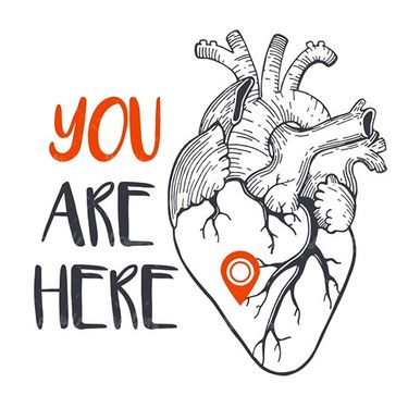 Vector anatomy of the heart