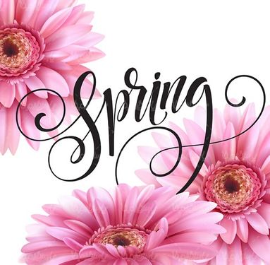 Vector spring flower