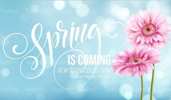 Vector spring flower
